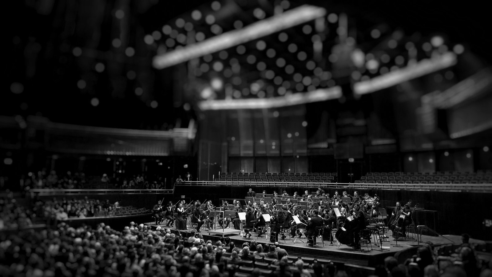 La musique classique en 2025 : entre succès et défis