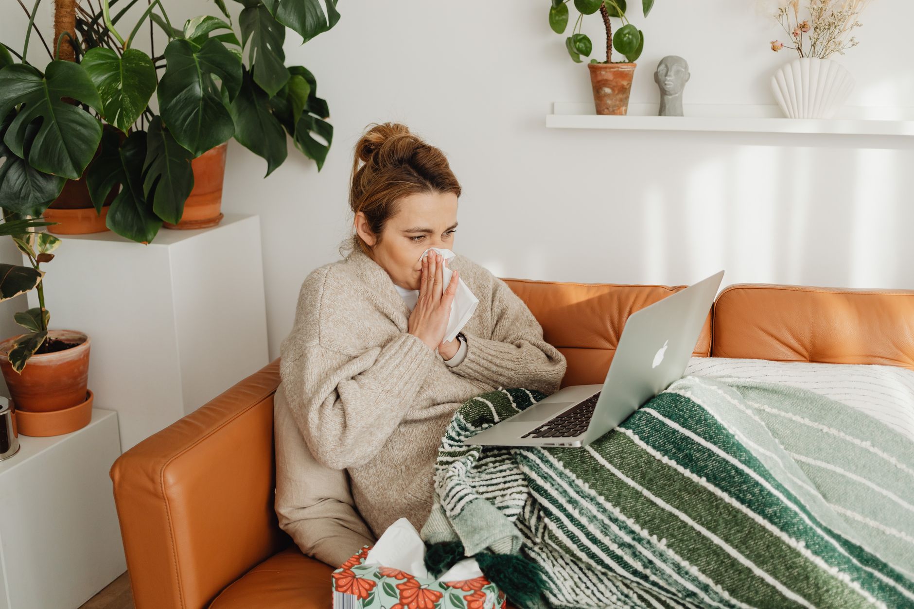 Automne : Comment cette saison transforme votre quotidien et vos habitudes