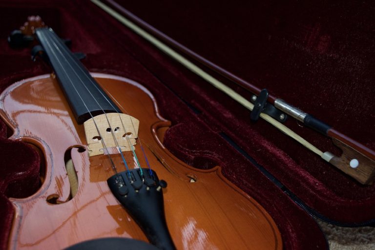Meilleurs étuis pour violon de voyage