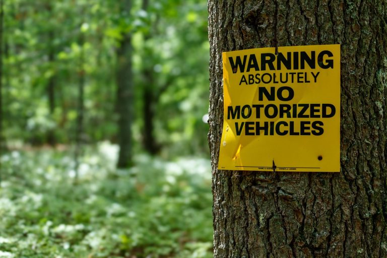 Saison de chasse : Comment se balader en toute sécurité dans la nature ?