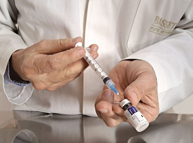 Vaccination grippe et Covid : ce que vous devez savoir pour cet automne