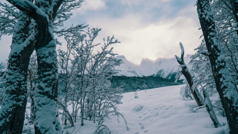 Hiver 2026-2027 : Val Cenis, la nouvelle pépite pour vos vacances au ski