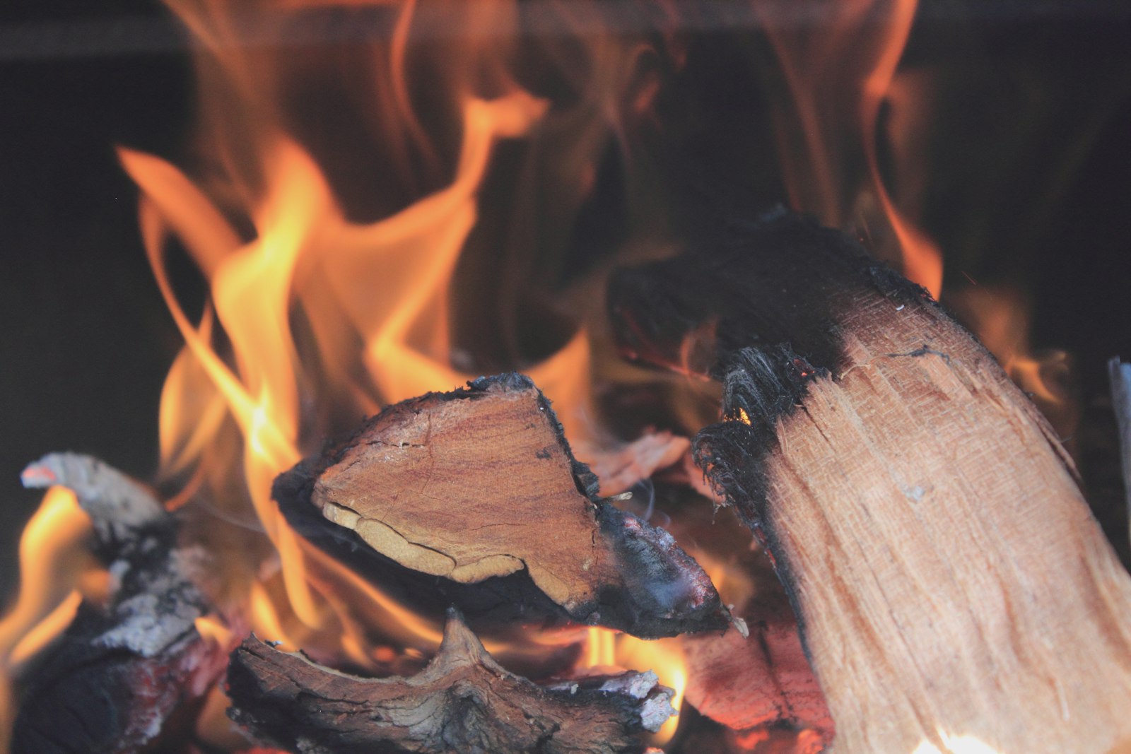 Bois de chauffage à 13 € le stère : l'inscription en mairie, la clé