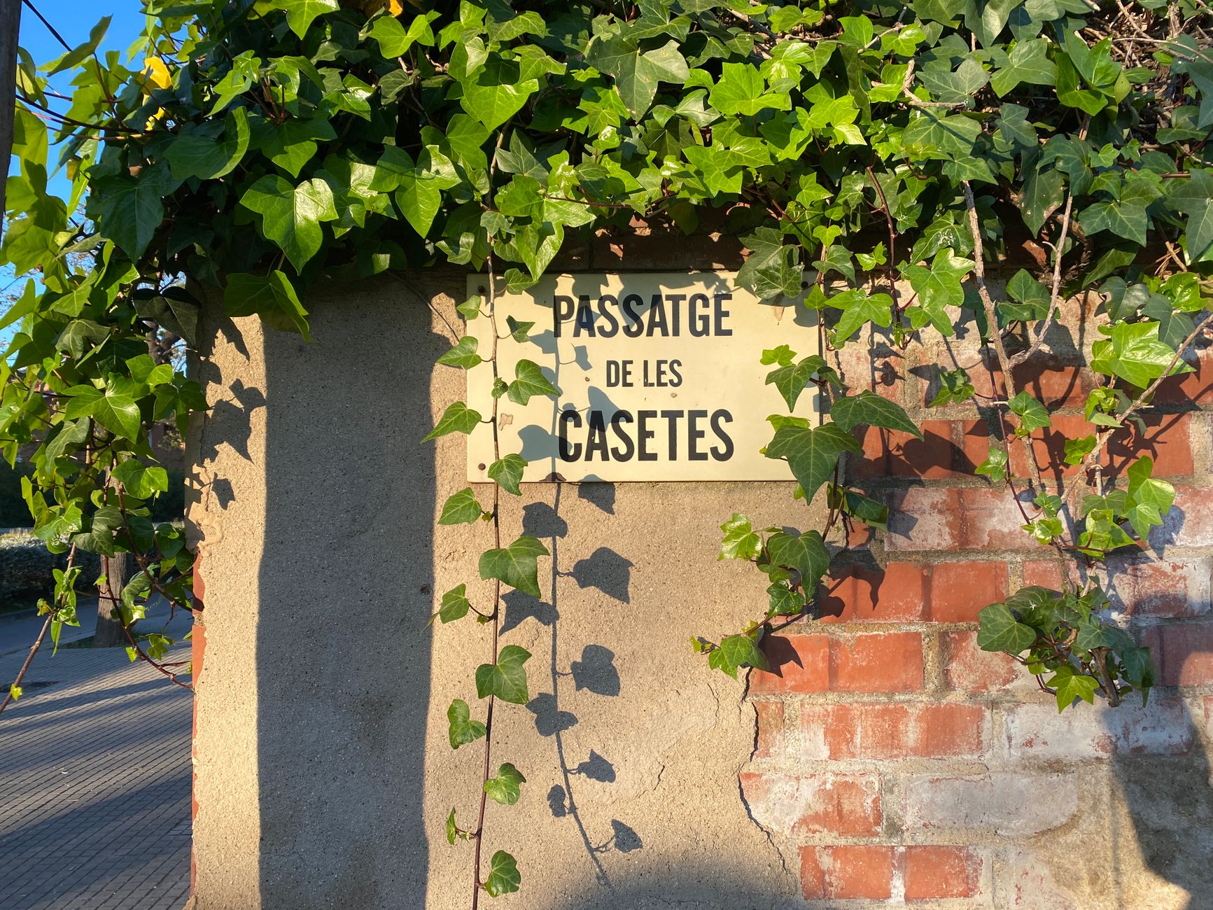 Serre de jardin : évitez les conflits de voisinage avec ces règles