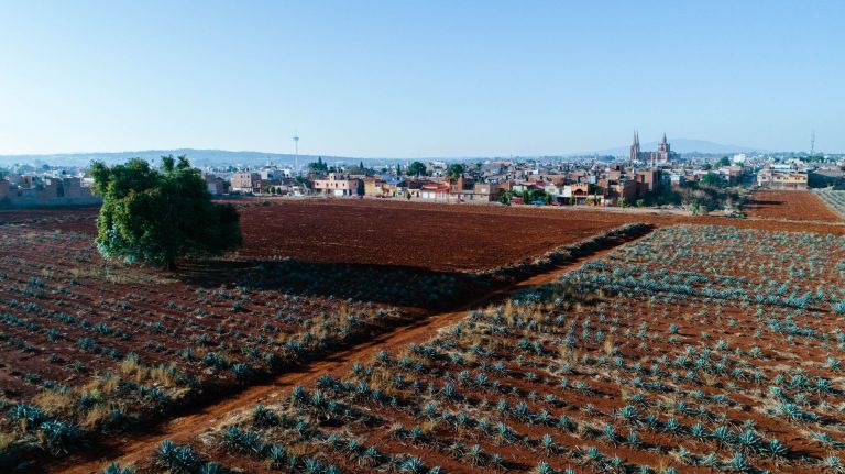 Jalisco, l’évasion mexicaine qui va vous surprendre