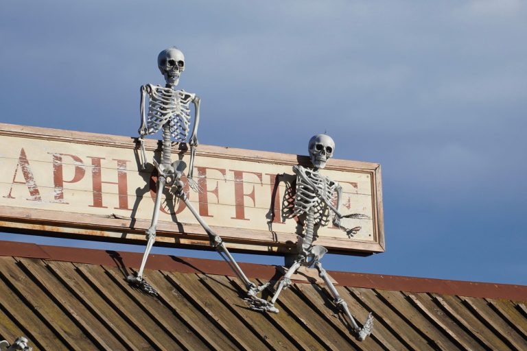 Halloween : Oubliez les citrouilles, voici les décorations qui vont épater vos voisins !