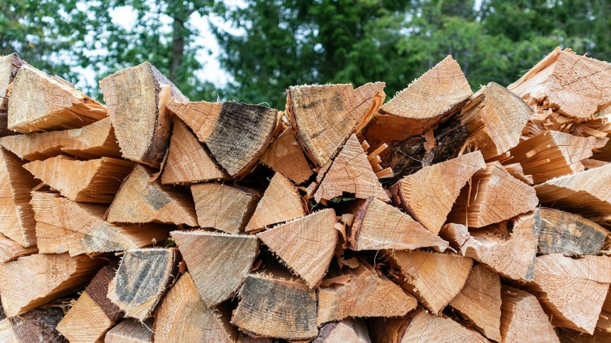 Dès aujourd&rsquo;hui, du bois de chauffage gratuit dans certaines communes : comment en profiter