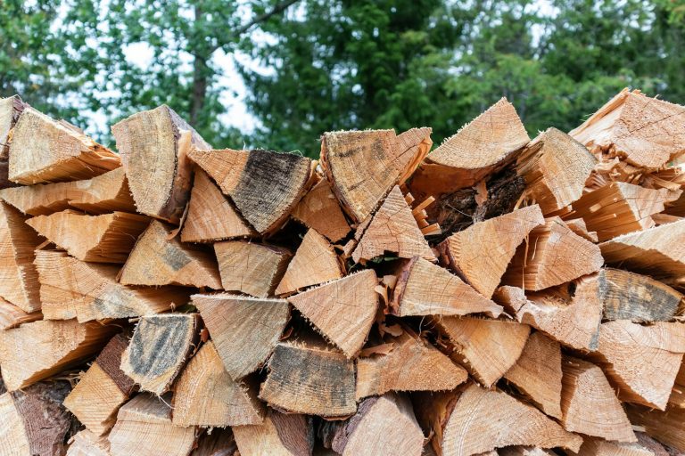 Dès aujourd&rsquo;hui, du bois de chauffage gratuit dans certaines communes : comment en profiter