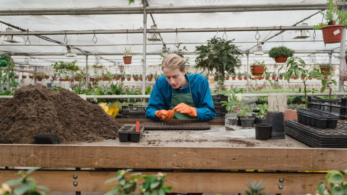 Serre de jardin : évitez les conflits de voisinage avec ces règles