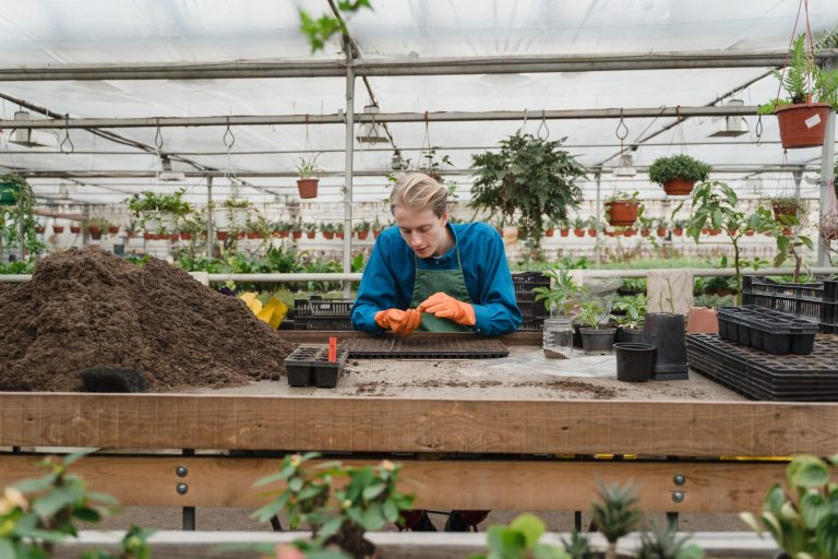 Serre de jardin : évitez les conflits de voisinage avec ces règles